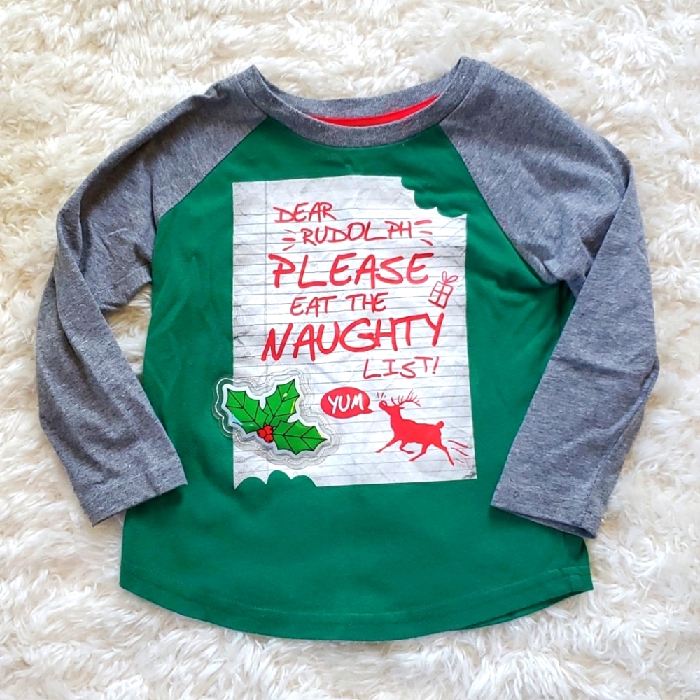3T Holiday Rudolph Christmas T-shirt Lights Up Like New EUC Red Green